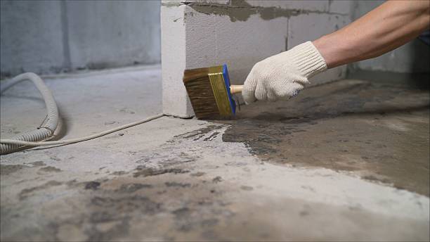 SJ Waterproofing Pros Waterproofing coverage map for Goodrich, MI and surrounding area